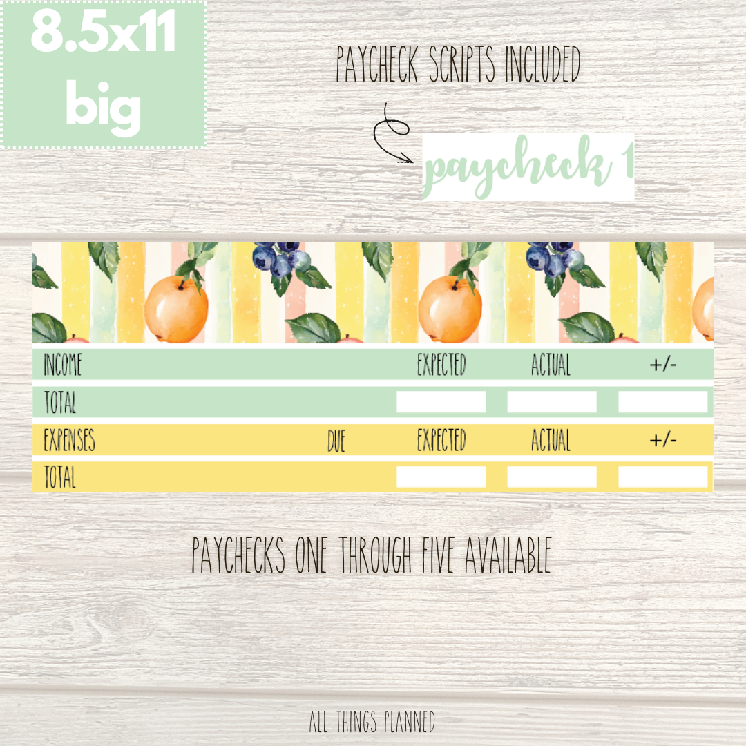 8.5x11 | Big | Aug. (Tutti Fruiti) Paychecks