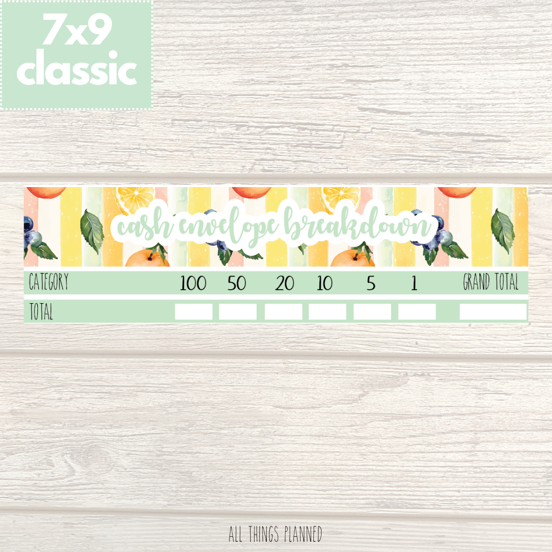 7x9 | Classic | Aug. (Tutti Fruiti) Cash Envelope Breakdown