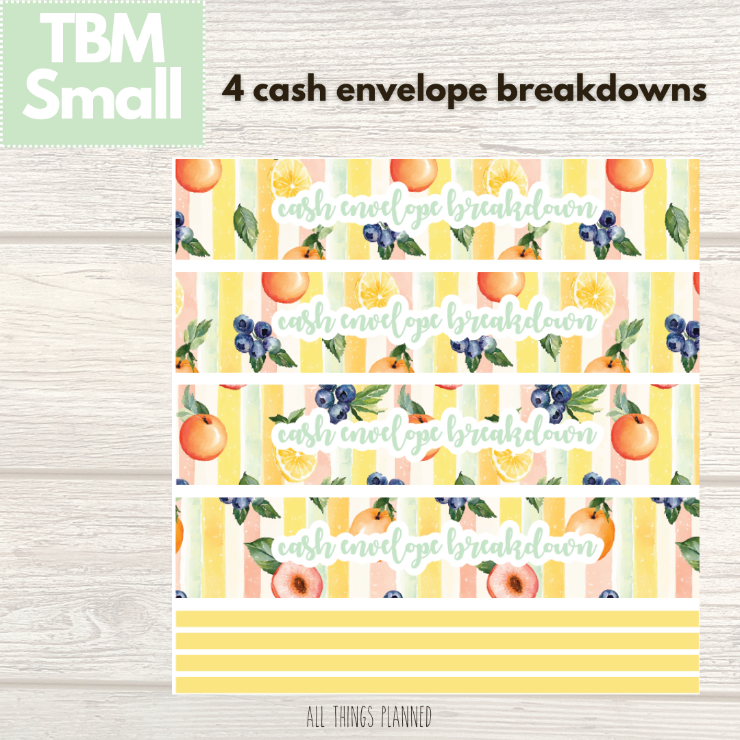 Small Aug. (Tutti Fruiti) Cash Envelope Breakdown