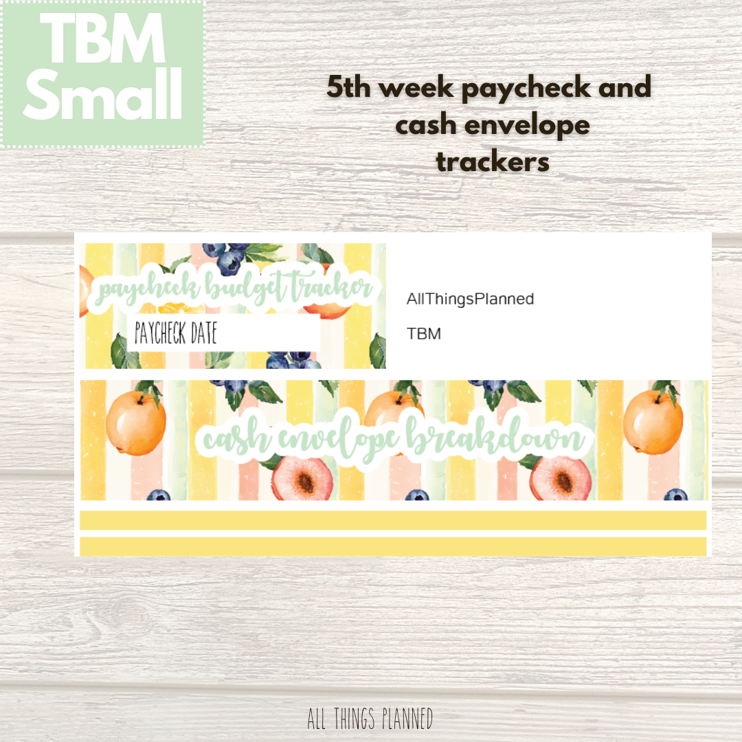 Small Aug. (Tutti Fruiti) Week 5 Cash Envelope + Paycheck Budget
