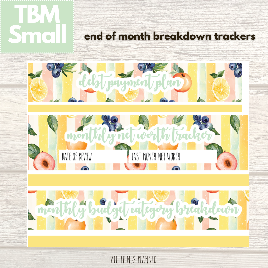 Small Aug. (Tutti Fruiti) Budget Reconcile