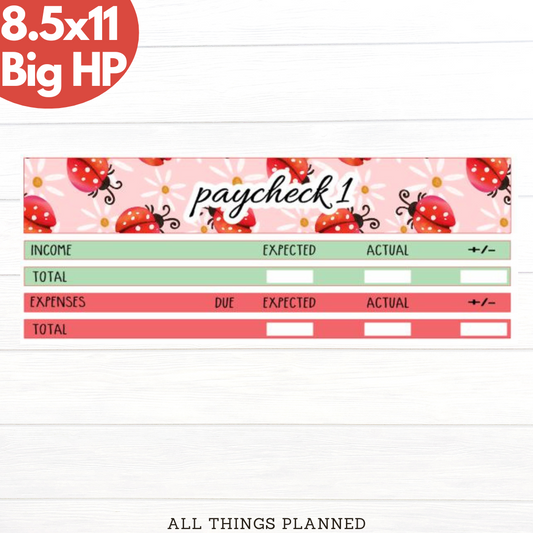 8.5x11 | Big | Mar. (Ladybugs) Paychecks