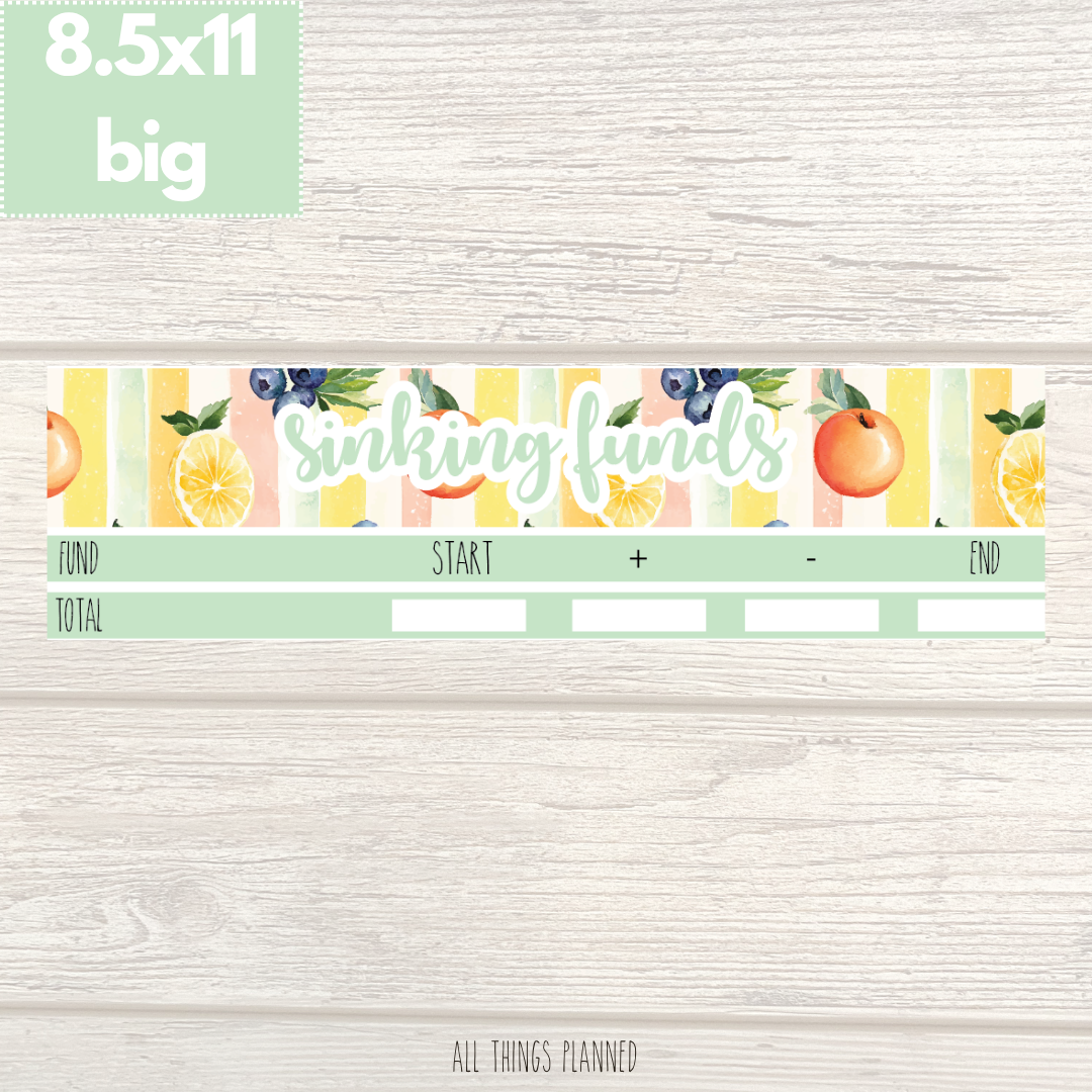 8.5x11 | Big | Aug. (Tutti Fruiti) Sinking Funds Tracker