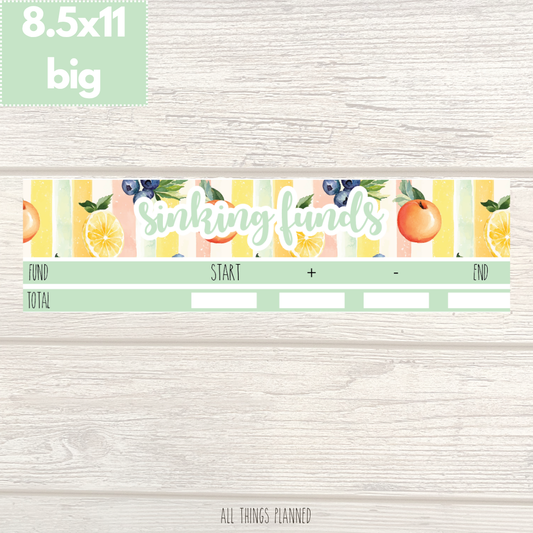 8.5x11 | Big | Aug. (Tutti Fruiti) Sinking Funds Tracker