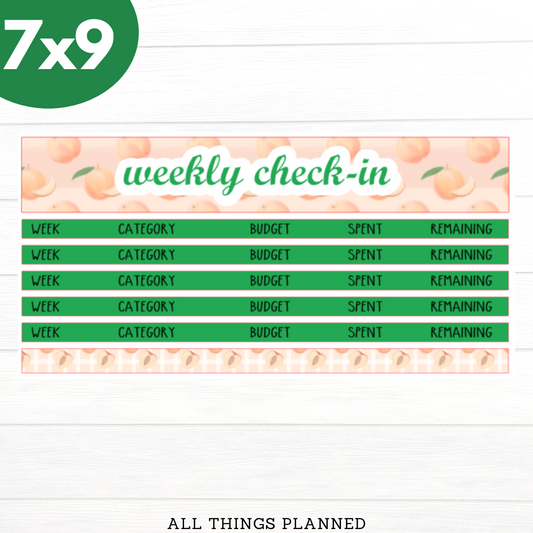 7x9 May (Peach) Weekly Check-In