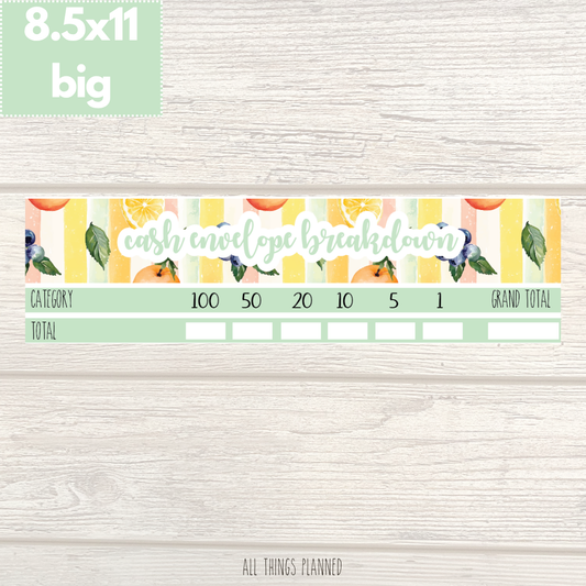 8.5x11 | Big | Aug. (Tutti Fruiti) Cash Envelope Breakdown
