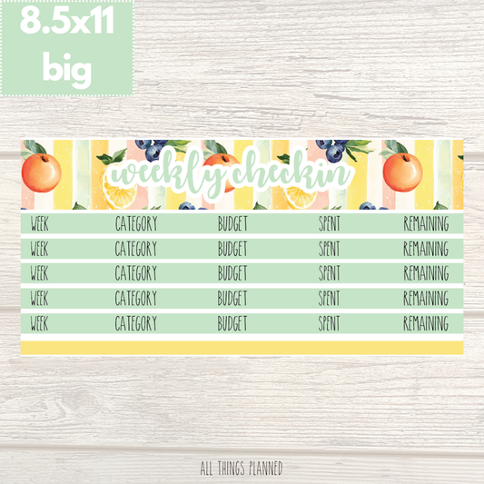 8.5x11 | Big | Aug. (Tutti Fruiti) Weekly Check-In