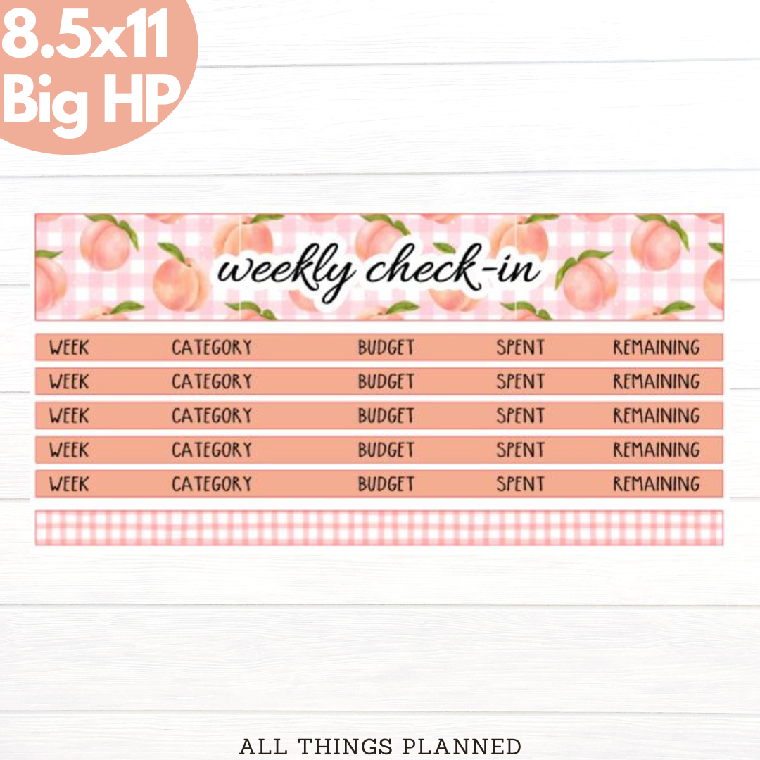 8.5x11 | Big | May (Peaches) Weekly Check-In