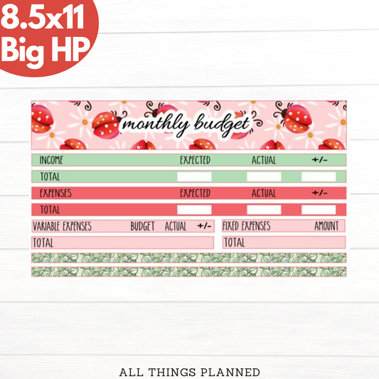 8.5x11 | Big | Mar. (Ladybugs) Budget Kit