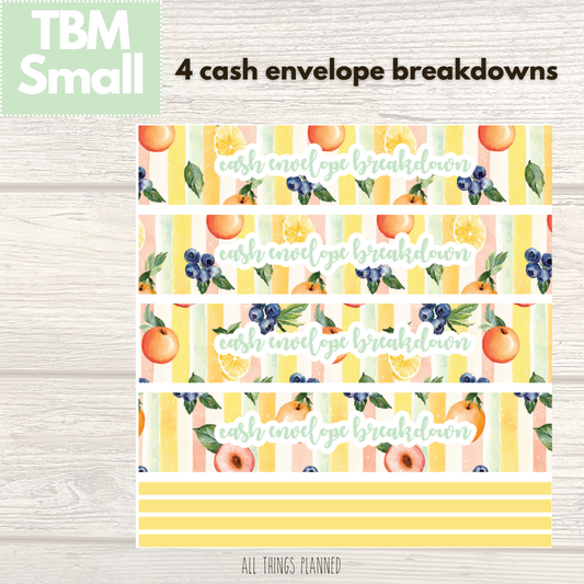 Small Aug. (Tutti Fruiti) Cash Envelope Breakdown