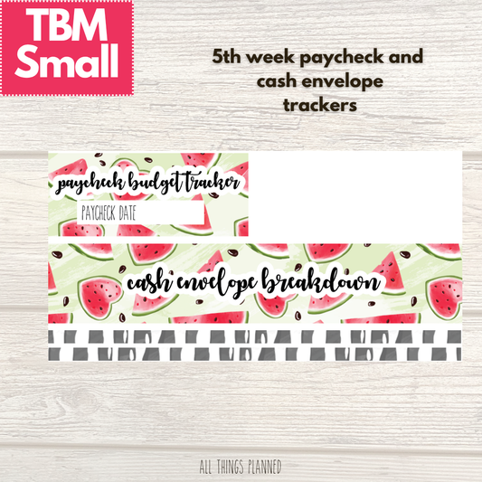 Small July (Watermelon) Week 5 Cash Envelope + Paycheck Budget