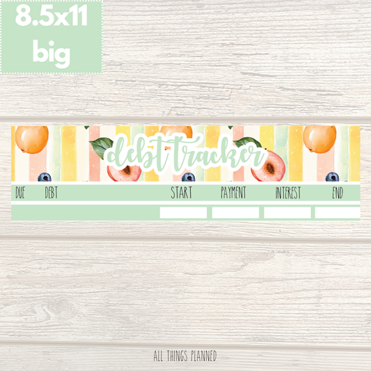 8.5x11 | Big | Aug. (Tutti Fruiti) Debt Tracker