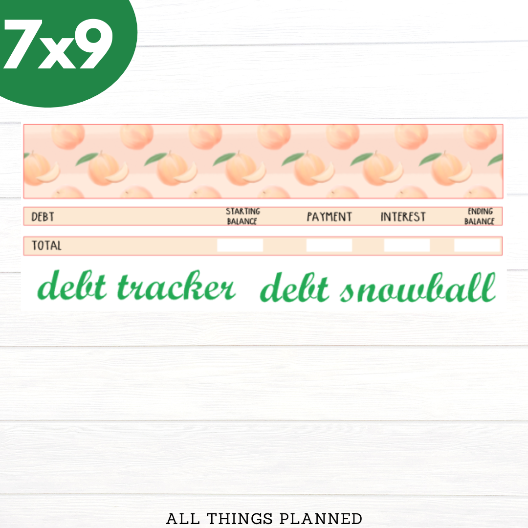 7x9 May (Peach) Debt Tracker