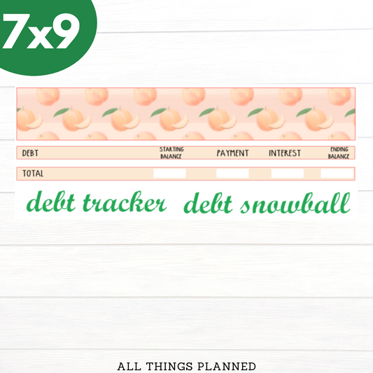7x9 May (Peach) Debt Tracker