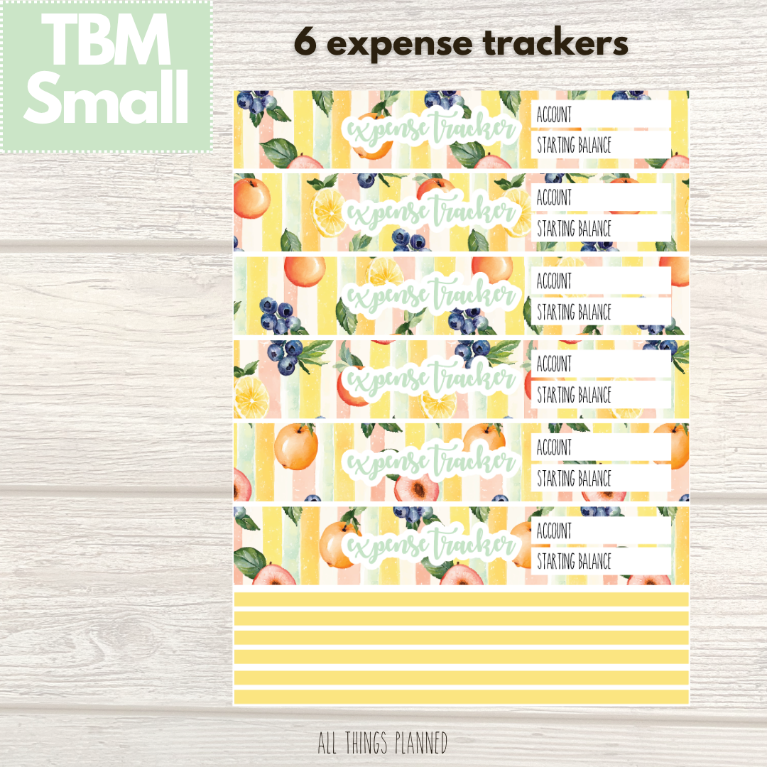 Small Aug. (Tutti Fruiti) Expense Trackers