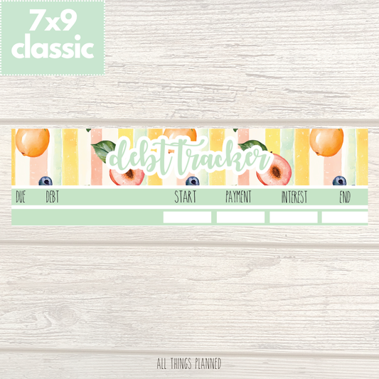 7x9 | Classic | Aug. (Tutti Fruiti) Debt Tracker