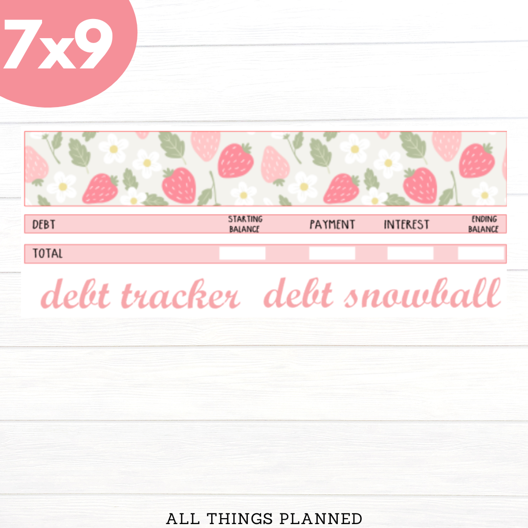7x9 May (Strawberry) Debt Tracker