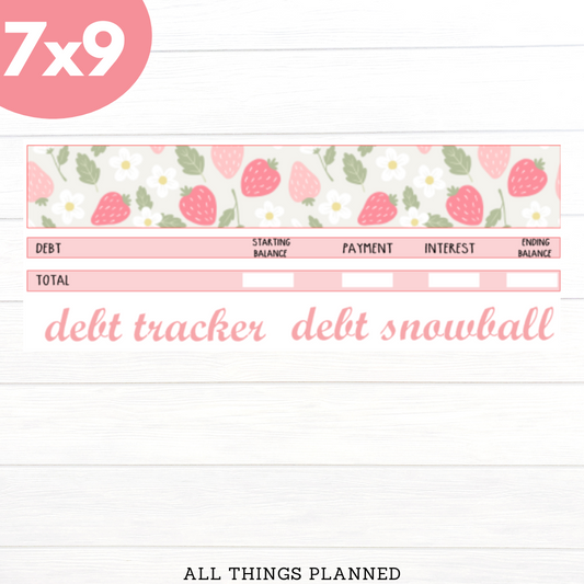 7x9 May (Strawberry) Debt Tracker