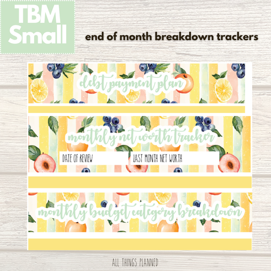 Small Aug. (Tutti Fruiti) Budget Reconcile