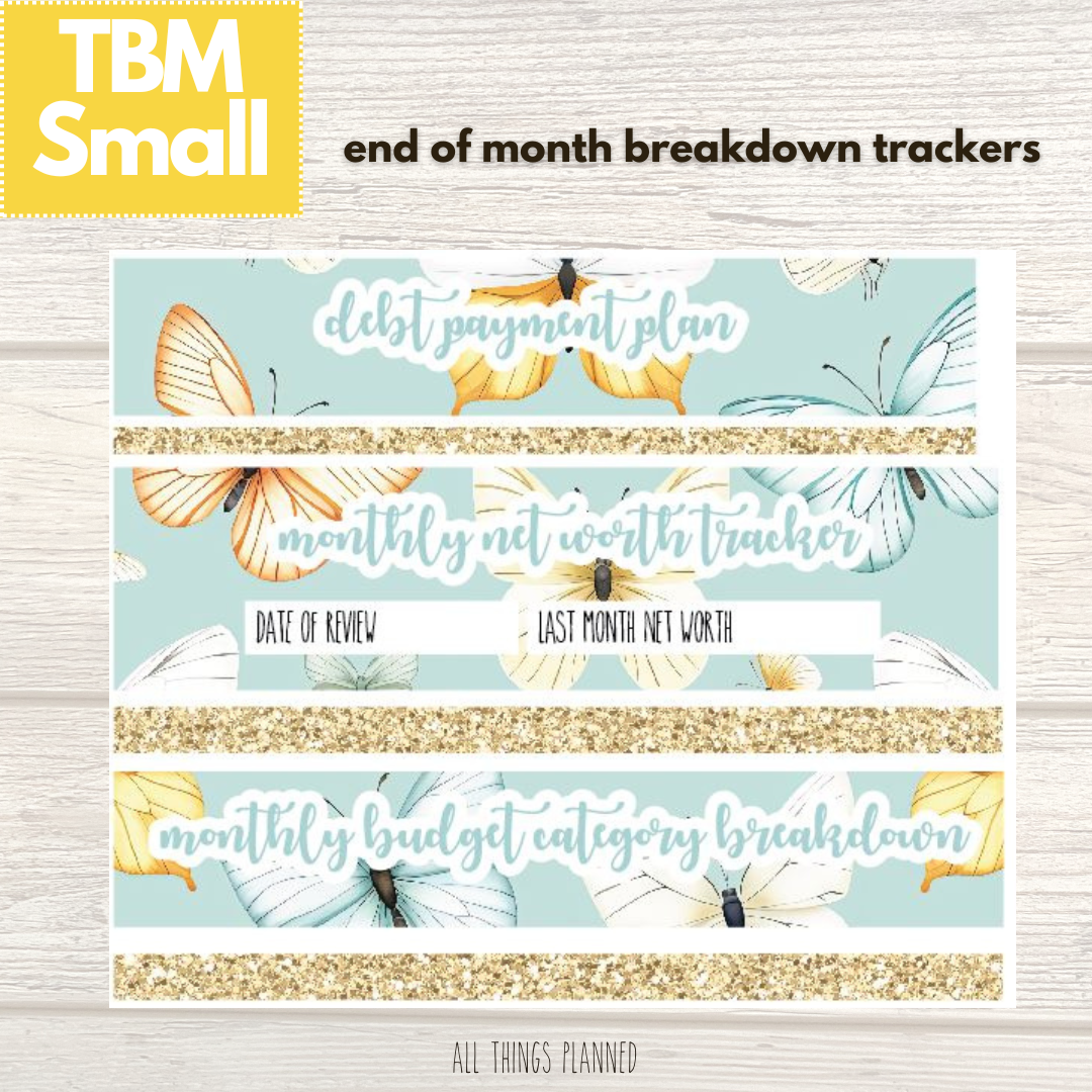 Small Mar. (Butterflies) Budget Reconcile