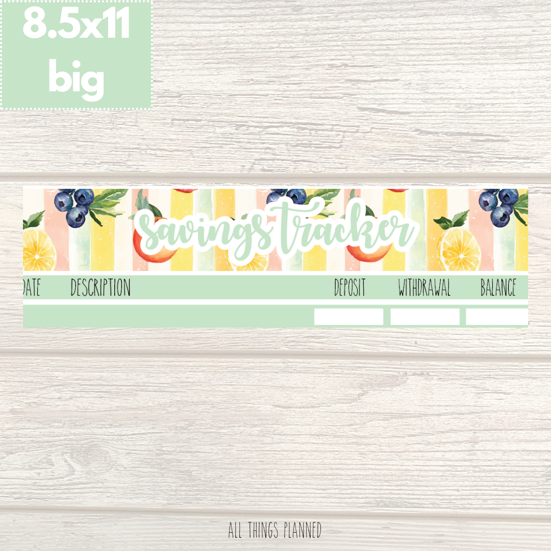 8.5x11 | Big | Aug. (Tutti Fruiti) Savings Tracker
