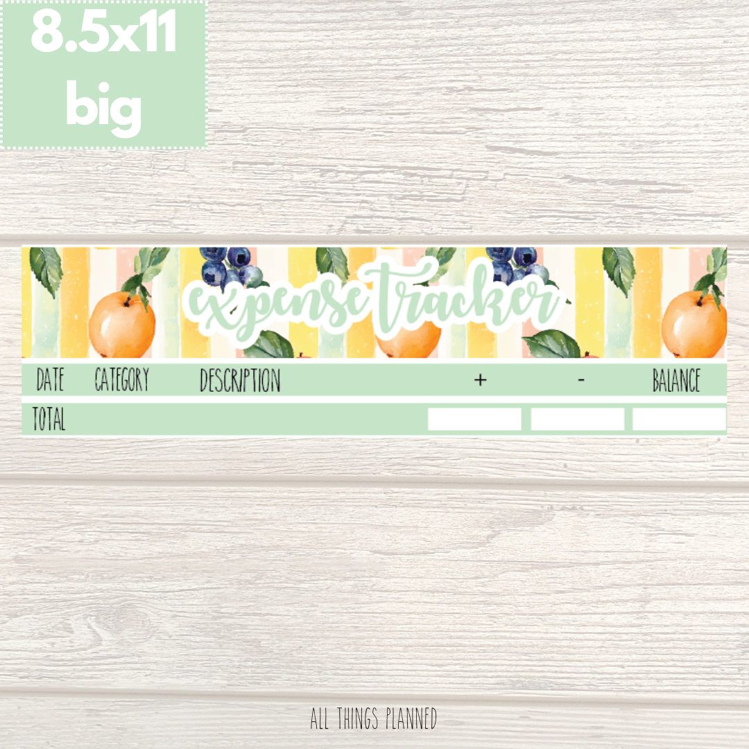 8.5x11 | Big | Aug. (Tutti Fruiti) Expense Tracker