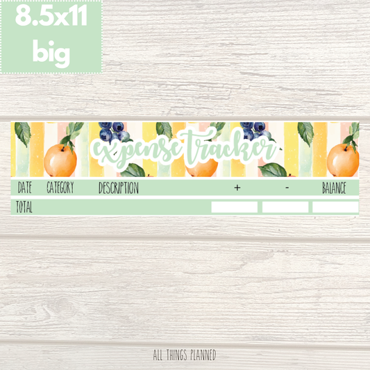 8.5x11 | Big | Aug. (Tutti Fruiti) Expense Tracker